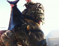  www.lofoten-fishing.de 