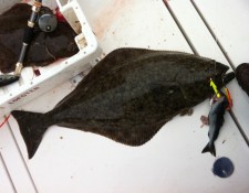  www.lofoten-fishing.de 