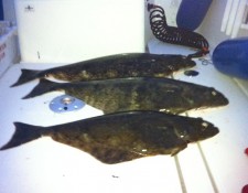 www.lofoten-fishing.de 