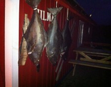  www.lofoten-fishing.de 