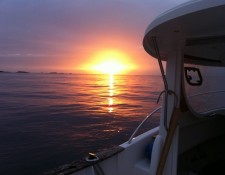  www.lofoten-fishing.de 