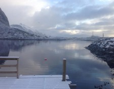  www.lofoten-fishing.de 