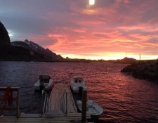  www.lofoten-fishing.de 