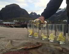  www.lofoten-fishing.de 