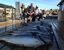  www.lofoten-fishing.de 