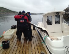  www.lofoten-fishing.de 