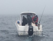  www.lofoten-fishing.de 