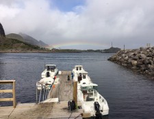  www.lofoten-fishing.de 