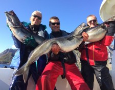  www.lofoten-fishing.de 