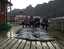  www.lofoten-fishing.de 