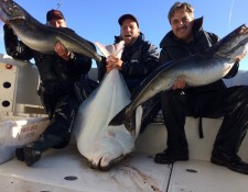  www.lofoten-fishing.de 