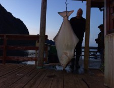  www.lofoten-fishing.de 