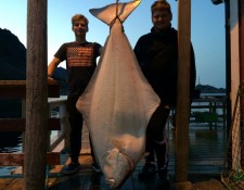  www.lofoten-fishing.de 