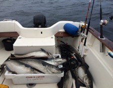  www.lofoten-fishing.de 