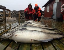  www.lofoten-fishing.de 