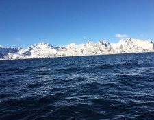  www.lofoten-fishing.de 