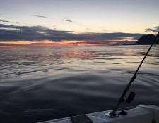  www.lofoten-fishing.de 