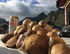  www.lofoten-fishing.de 
