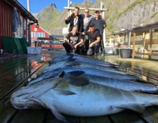  www.lofoten-fishing.de 