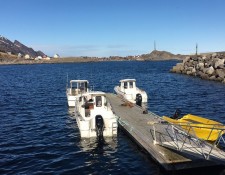  www.lofoten-fishing.de 