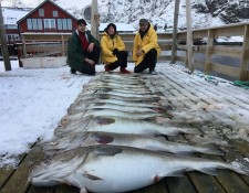  www.lofoten-fishing.de 