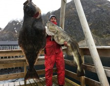  www.lofoten-fishing.de 
