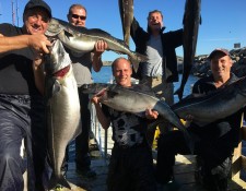  www.lofoten-fishing.de 