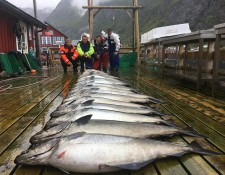  www.lofoten-fishing.de 