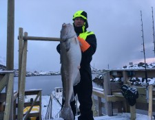  www.lofoten-fishing.de 