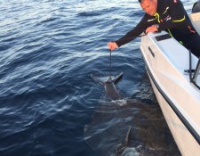  www.lofoten-fishing.de 