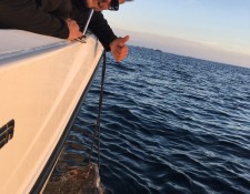  www.lofoten-fishing.de 