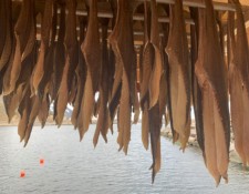  www.lofoten-fishing.de 