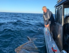  www.lofoten-fishing.de 