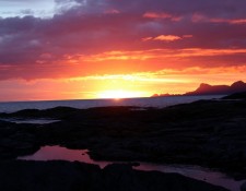  www.lofoten-fishing.de 