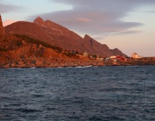  www.lofoten-fishing.de 