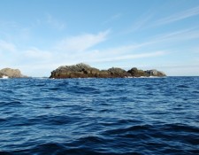  www.lofoten-fishing.de 