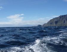  www.lofoten-fishing.de 