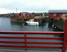  www.lofoten-fishing.de 